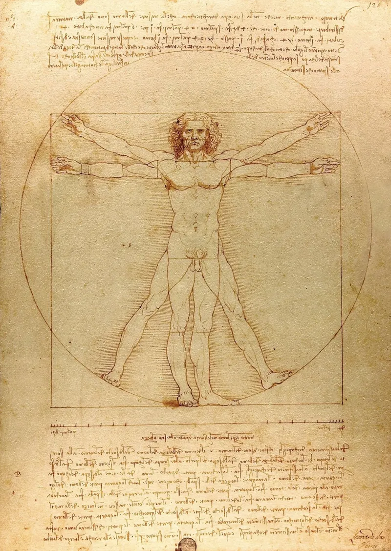 De Vinci - The Vitruvian Man