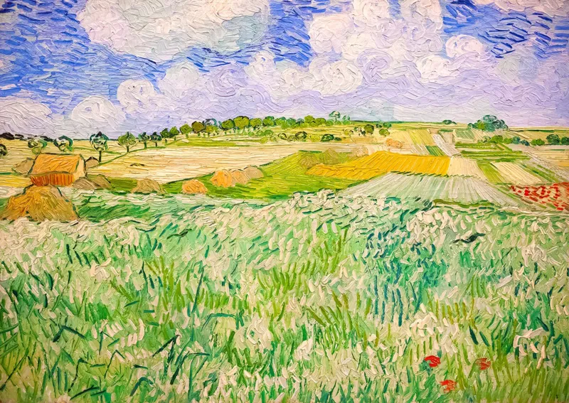 Vincent van Gogh: Plain near Auvers