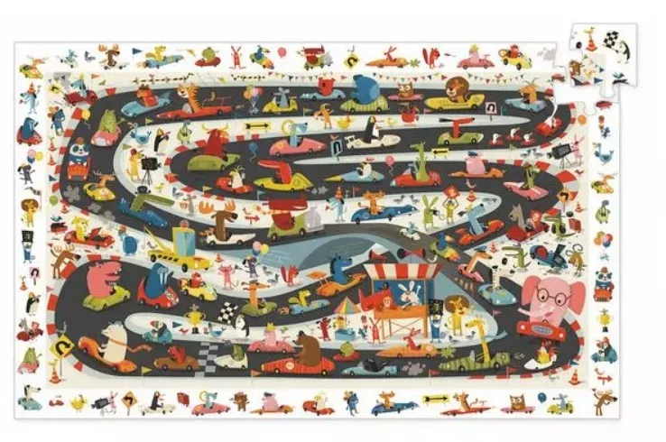 Observation Puzzle - Automobile Rally