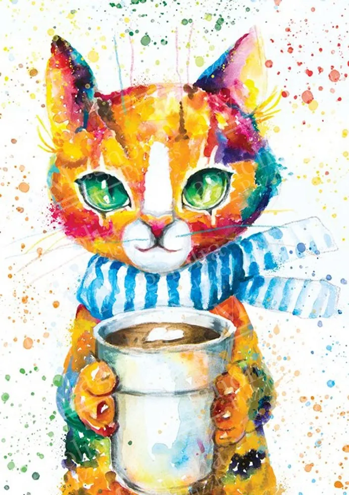 Colorful Cat