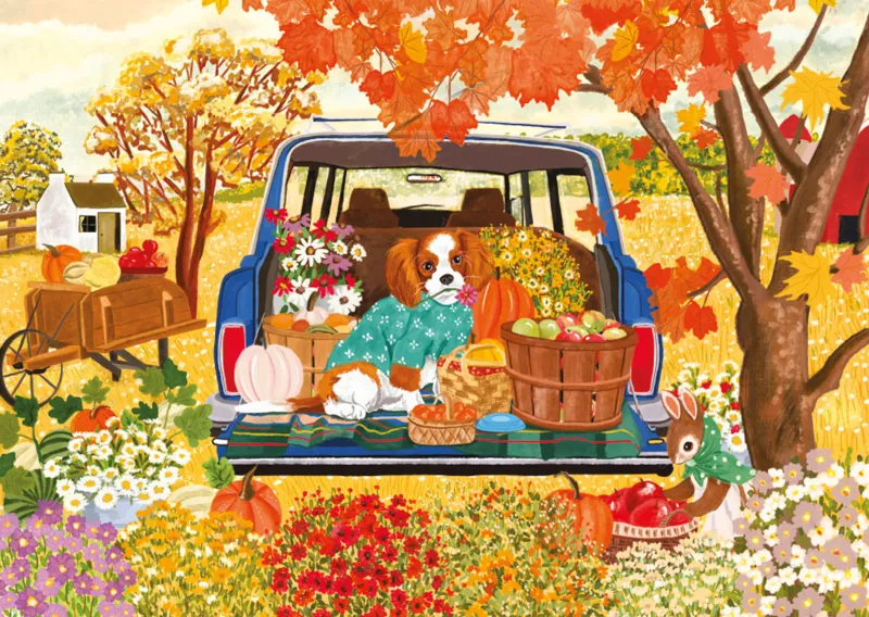 Dog in the Car