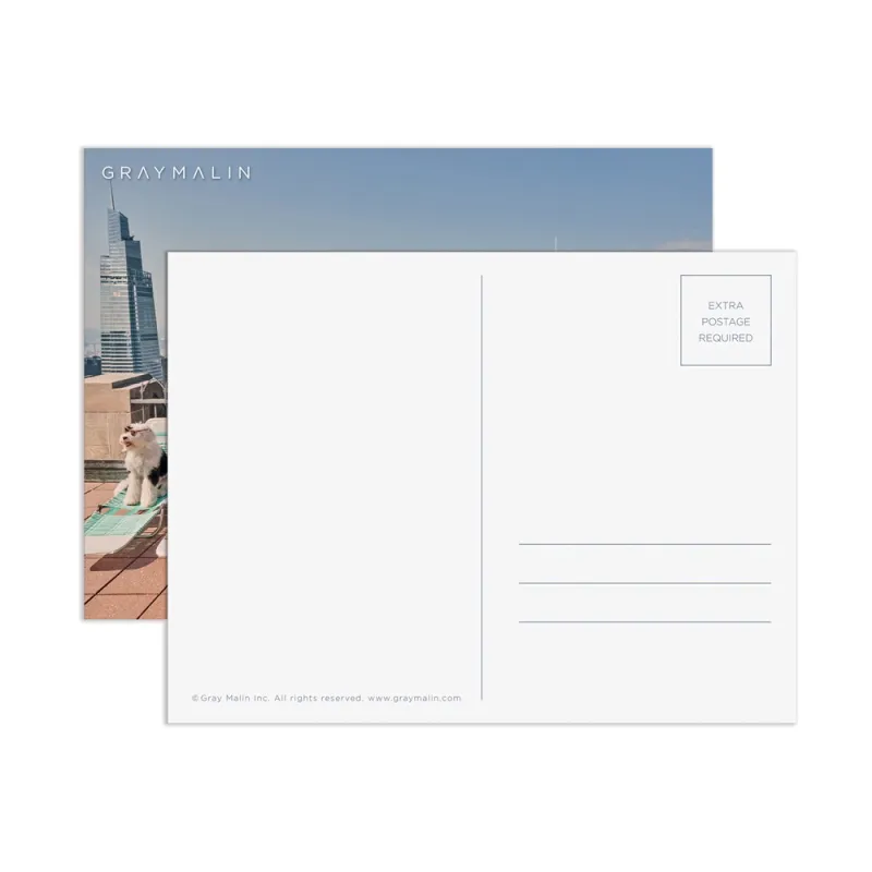 The Dogs of New York City - 1000 Piece Puzzle