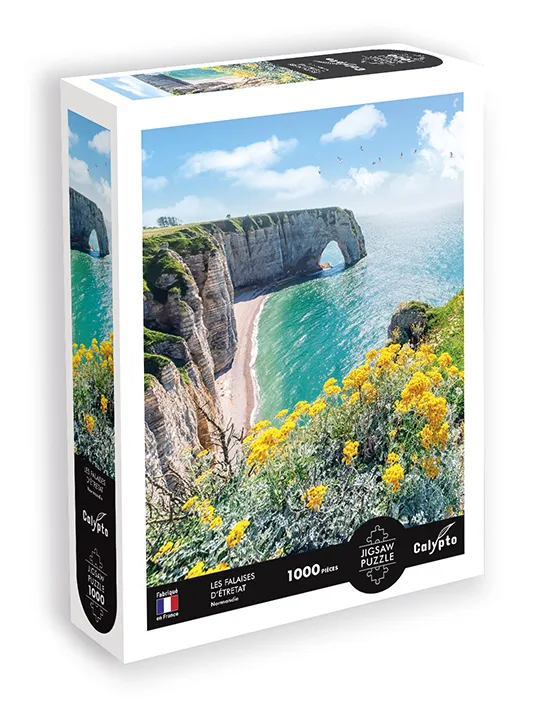 Landscape - The Cliffs Of Etretat - Normandy