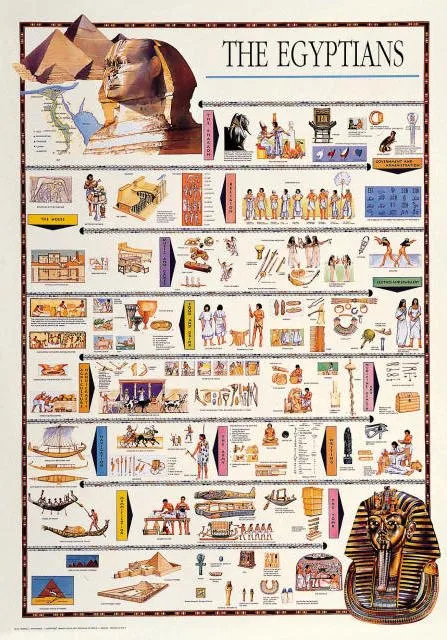 Education: Egyptians