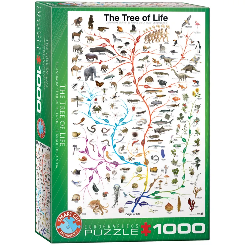 Evolution - the tree of life