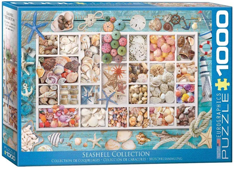 Seashell Collection