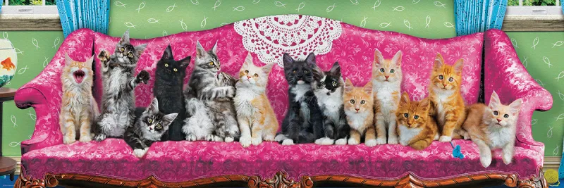 Kitty Cat Couch