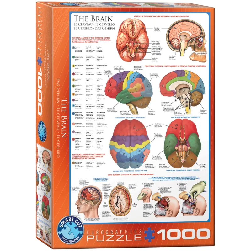 Jigsaw Puzzle - 1000 Pieces - The Brain