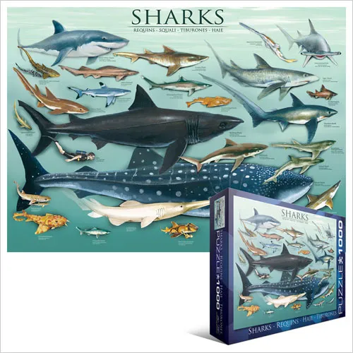 Jigsaw Puzzle - 1000 Pieces - Sharks
