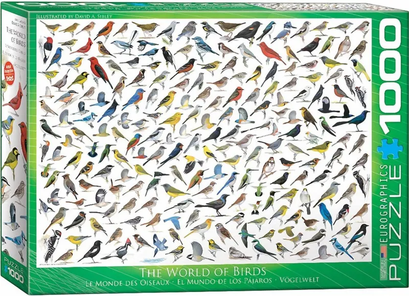 The World of Birds