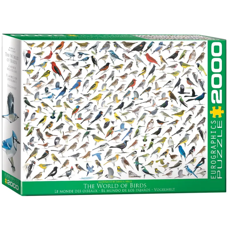 The World of Birds, by David Sibley