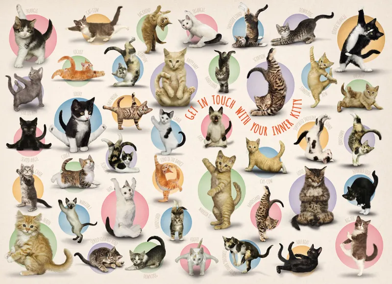 XXL Pieces - Familiy Puzzle: Yoga Kittens