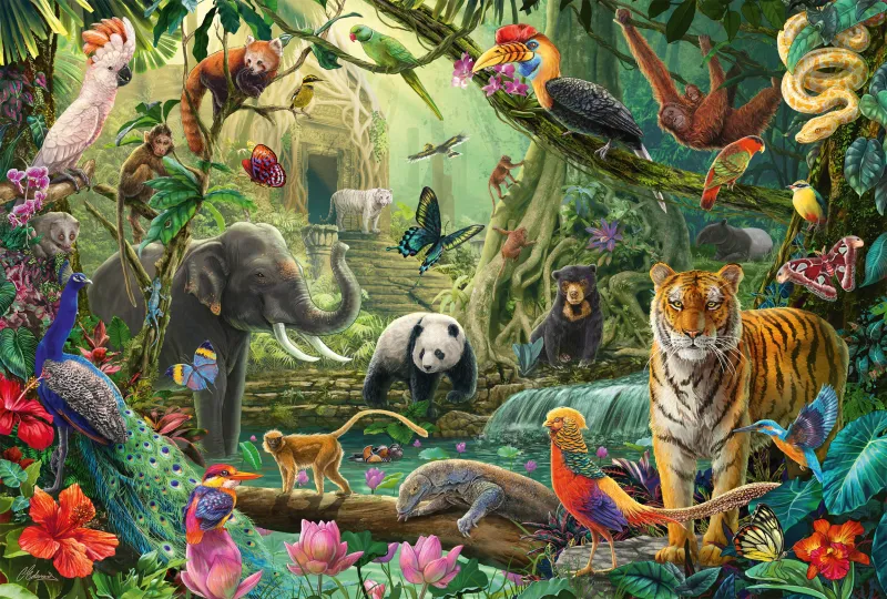 Colourful Jungle Wildlife