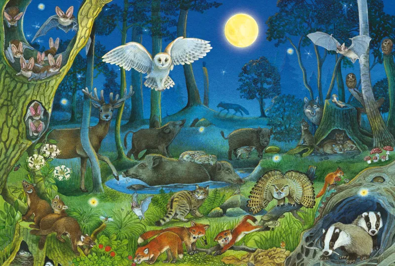 Animals in the Forest at Night