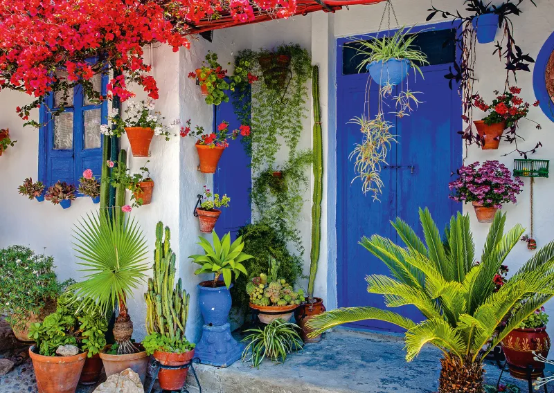 Mediterranean front door