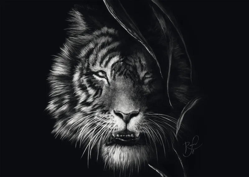 Wilderness - Tiger : In the Sign of Freedom