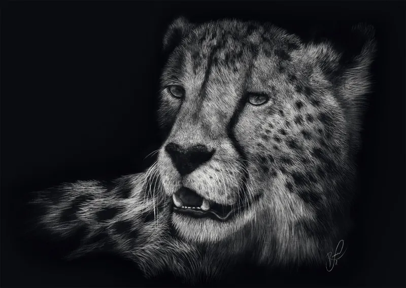 Speed - Gepard : In the Sign of Grace