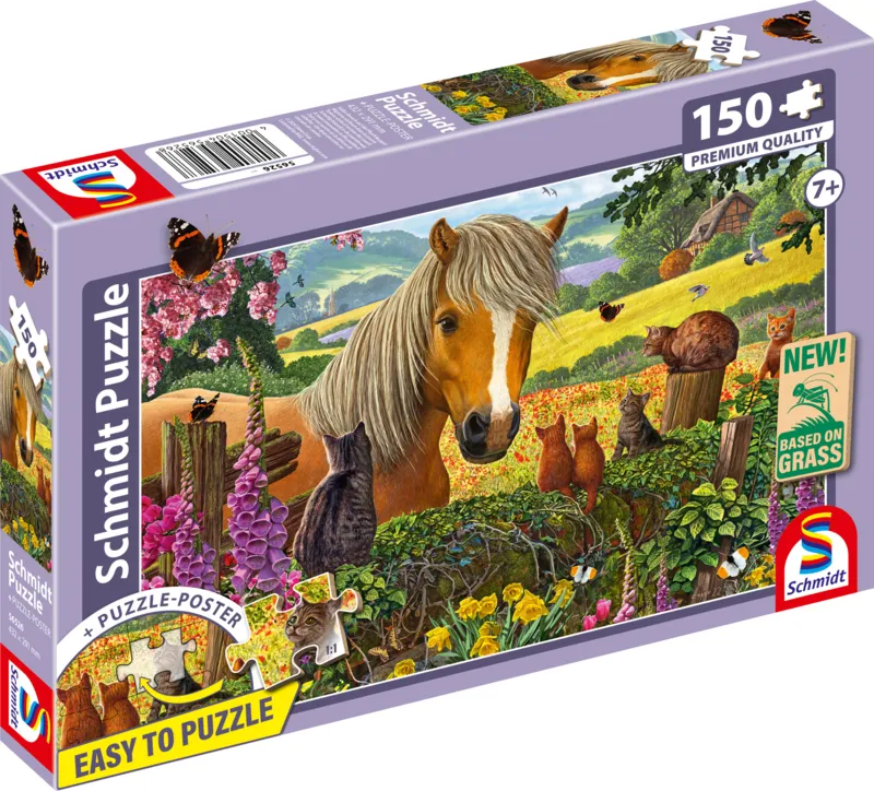 A Sweet Visit to the Paddock