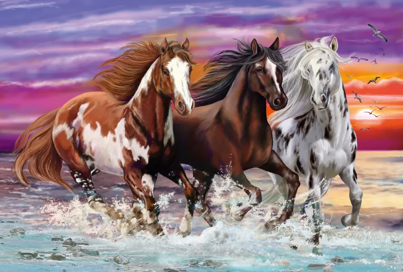 Trio of Wild Horses