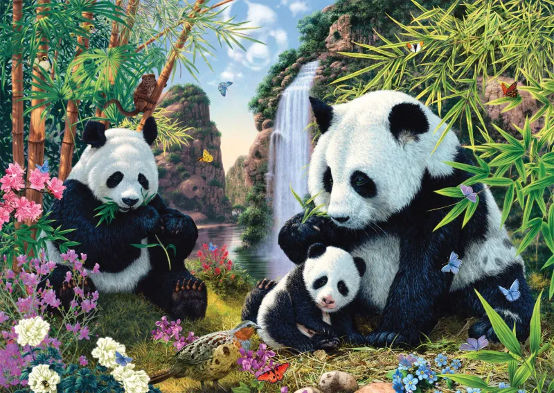 Panda family