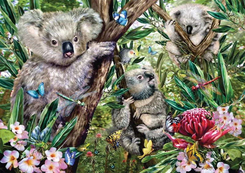 Cute Koala Family