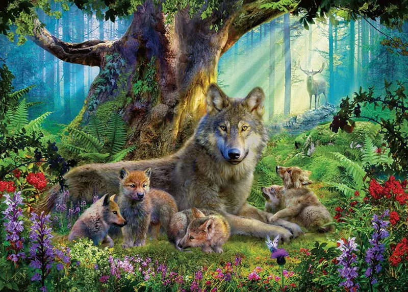 Family of Wolves in the Forest