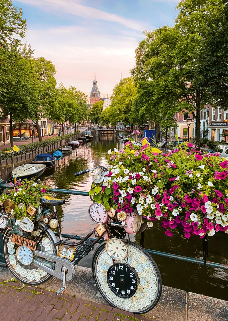 Flowers In Amsterdam