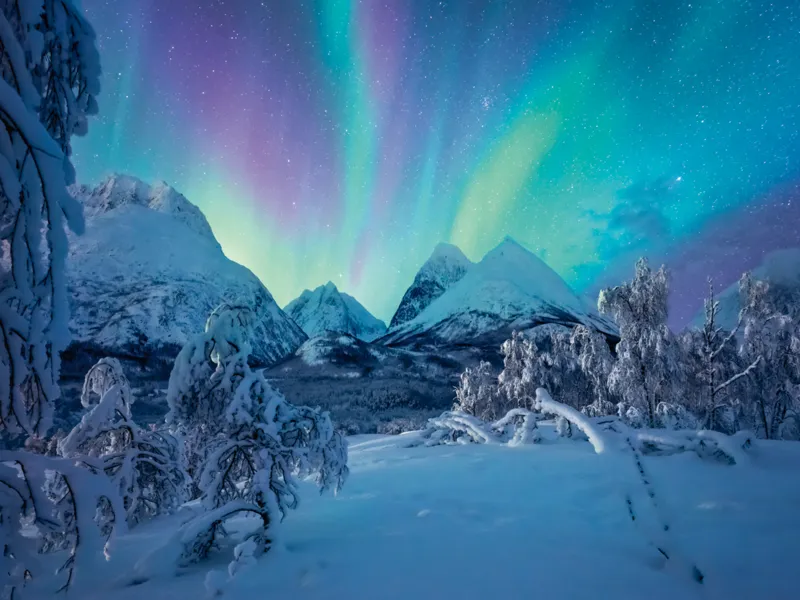 When the Northern Lights Dance