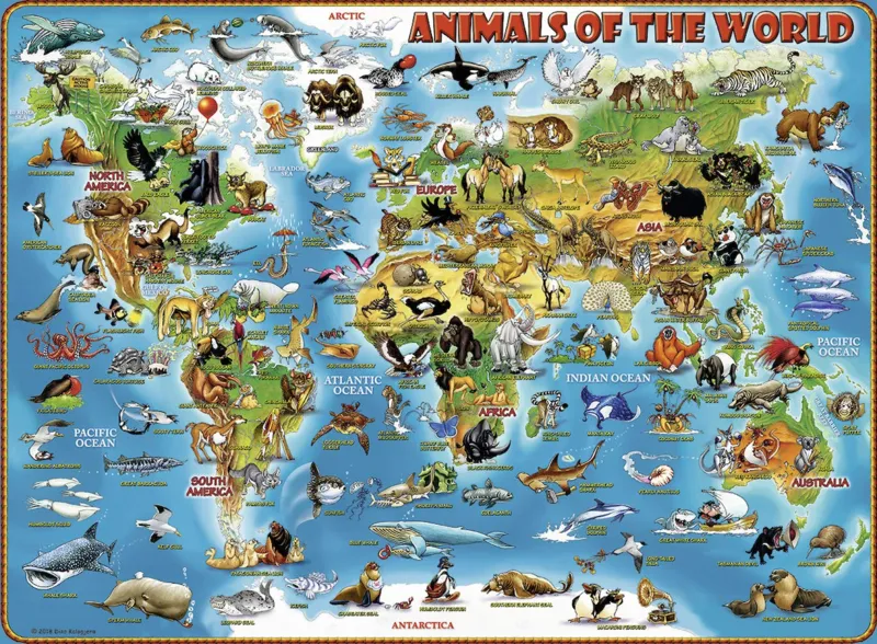 XXL Pieces - Animals around the World