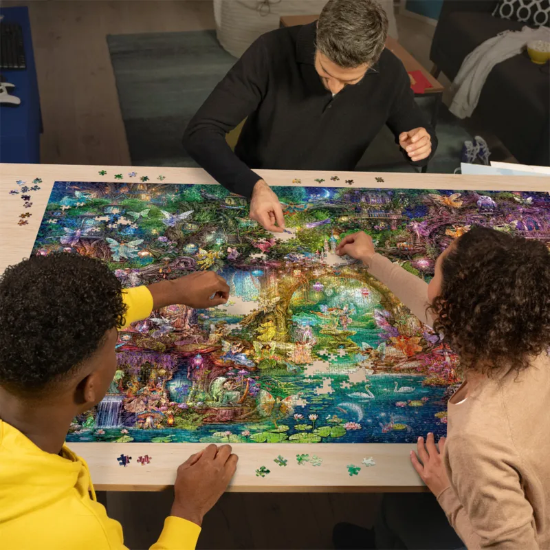 The Fairy Kingdom - Aimee Steward