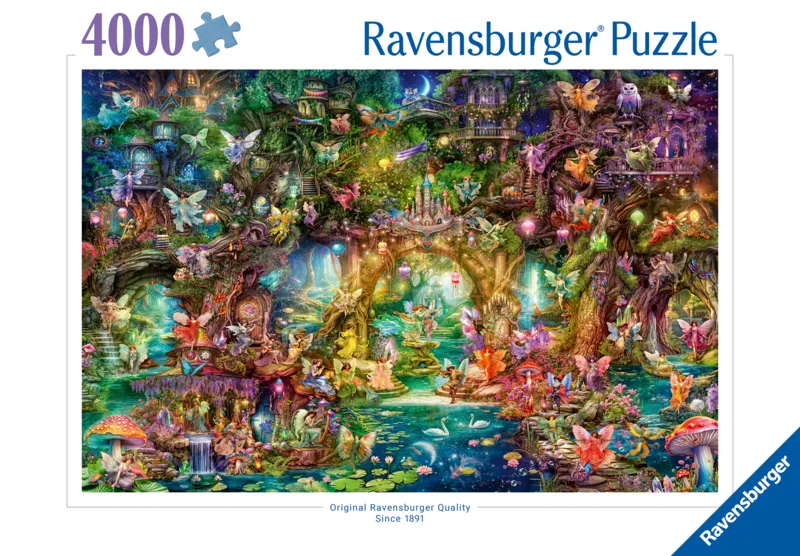 The Fairy Kingdom - Aimee Steward