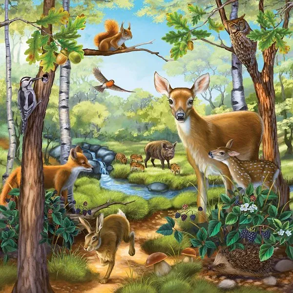 Jigsaw Puzzle - 3 x 49 Pieces - Wild, Pet and Zoo Animals