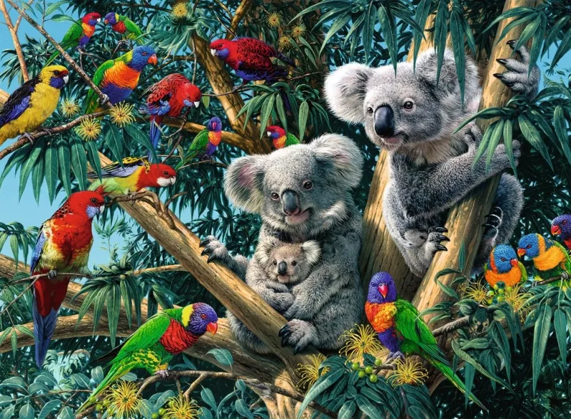 Koalas in The tree