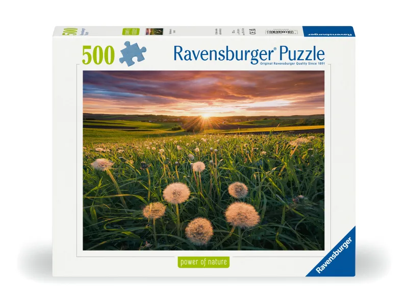 Nature Edition - Dandelions in the sunset