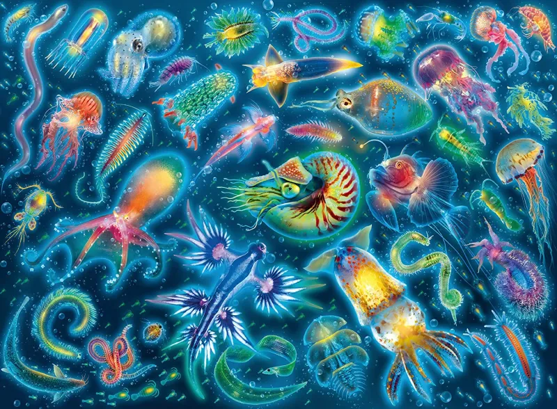 Colorful Jellyfish