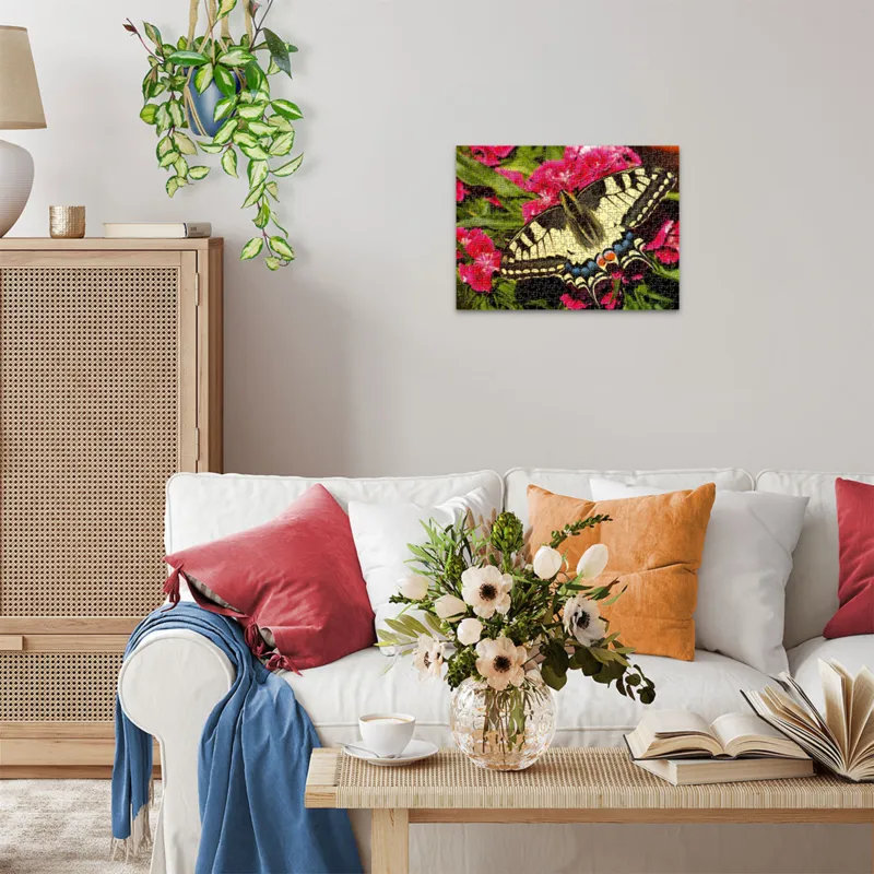 Butterfly - Highlight Puzzle - Colorful Animals