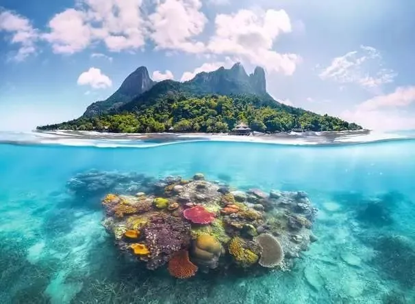 Island And Coral World