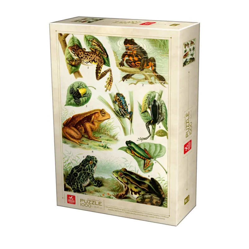 Frogs