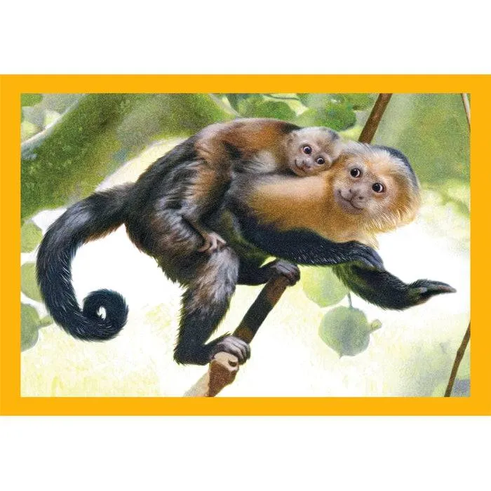 Puzzle 4 en 1 - Mum and Baby Animals