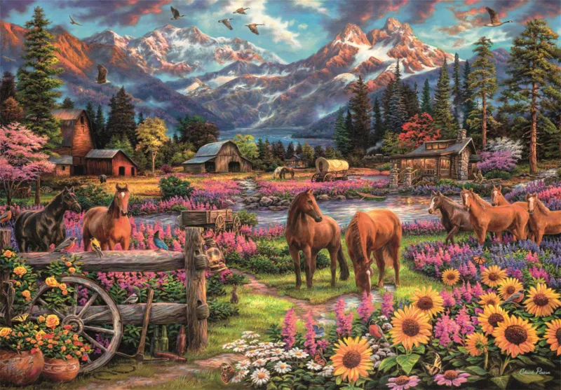 Free to Roam