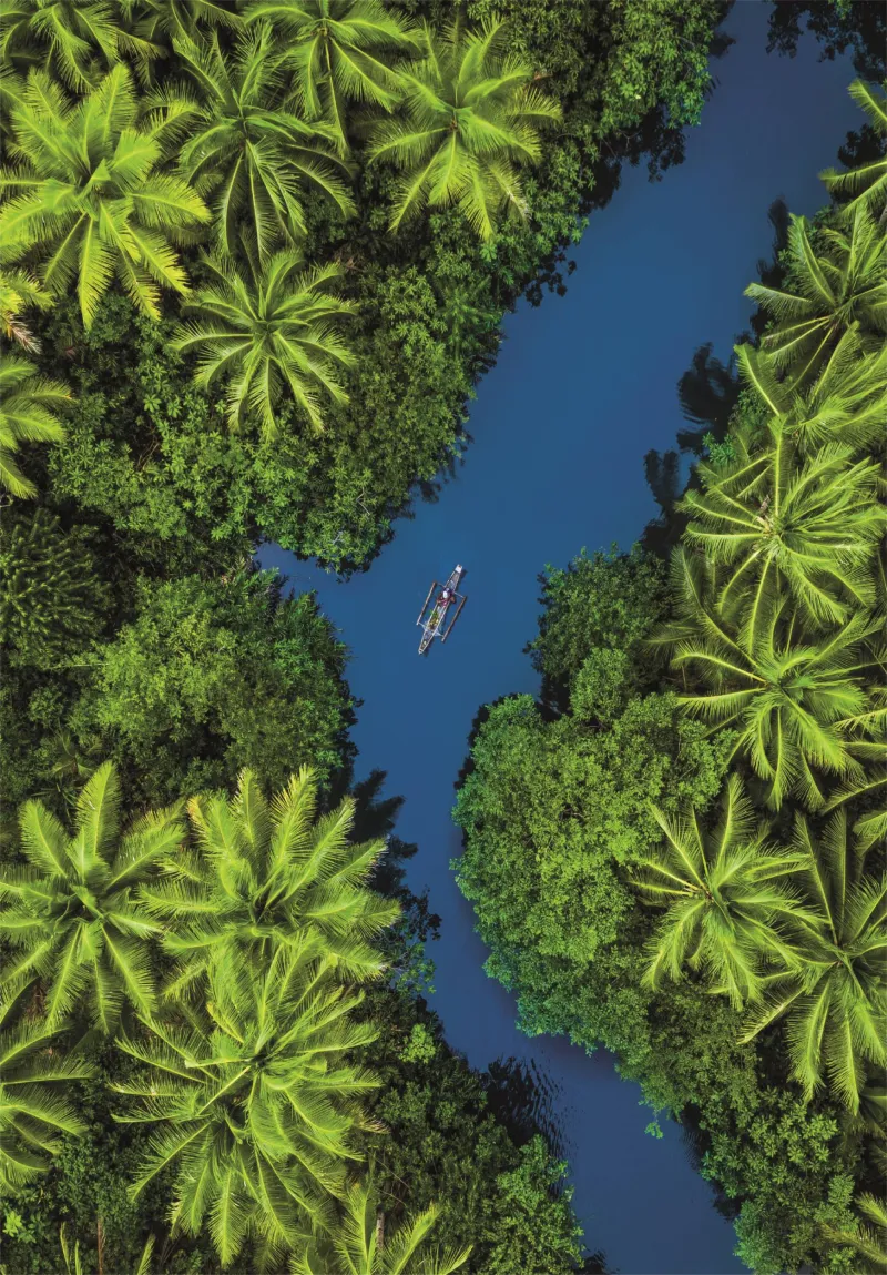 Tropical Aerial View