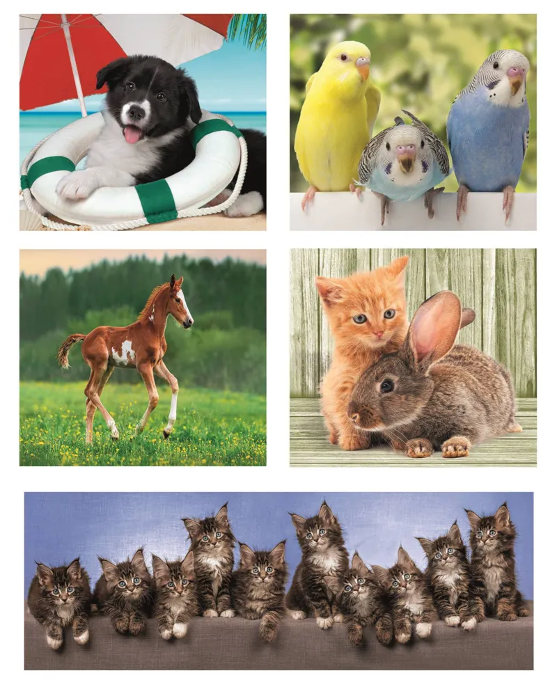 Puzzle 10 in 1 - Animal Friends