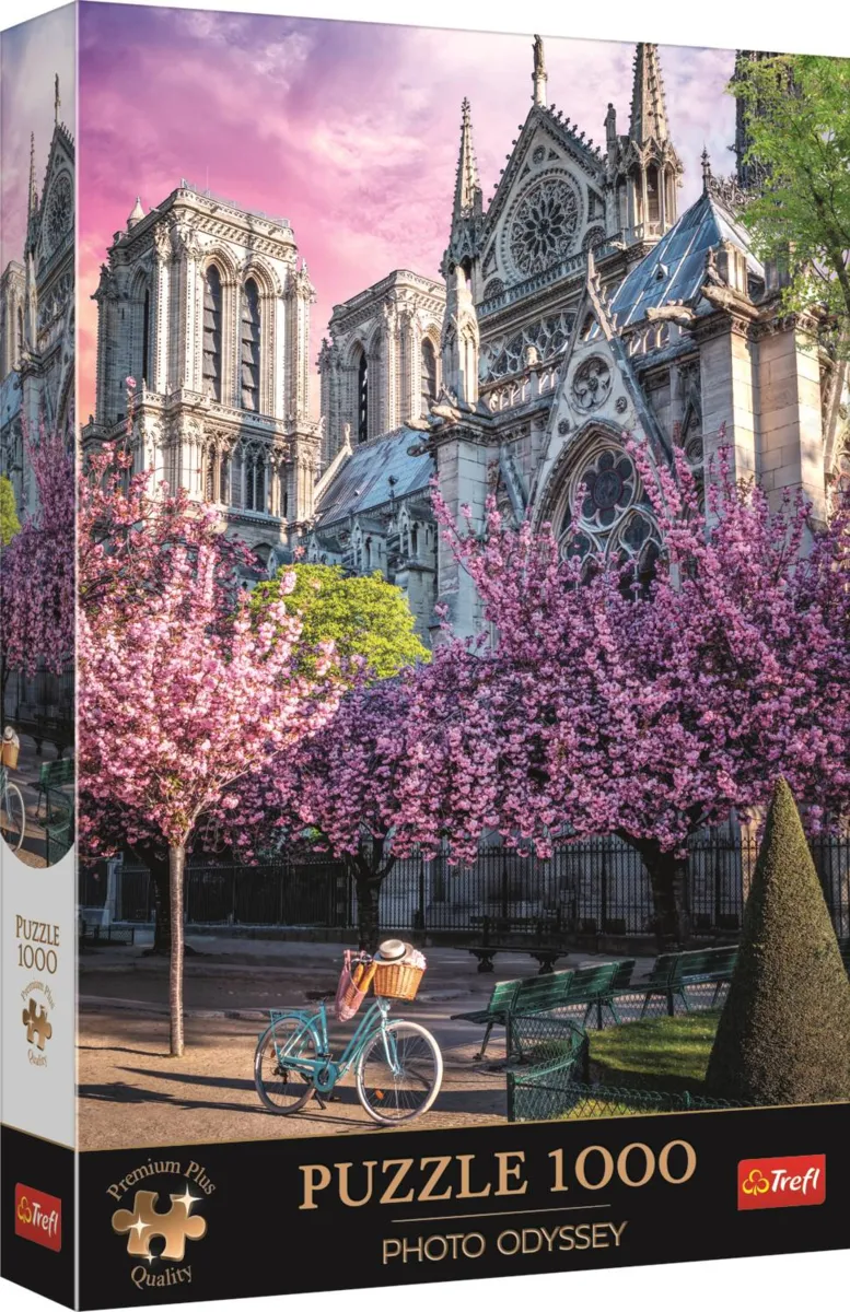 Photo Odyssey: Notre-Dame Cathedral of Paris