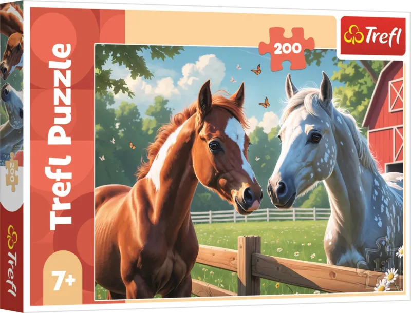 Horses in the clearing