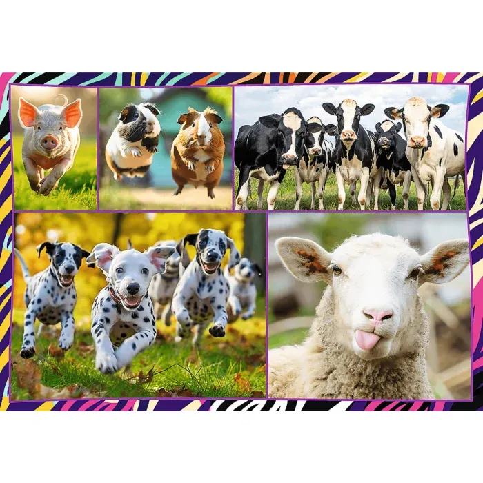 4 Puzzles - Funny animals