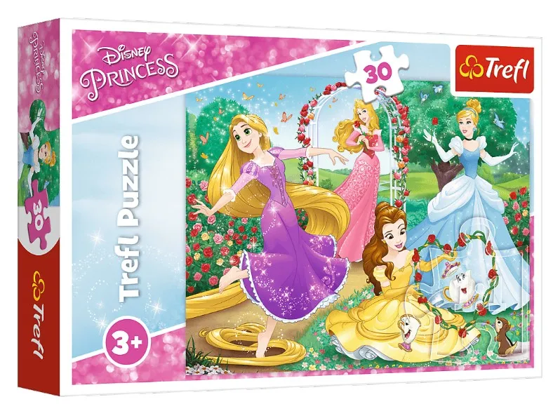 Disney Princess