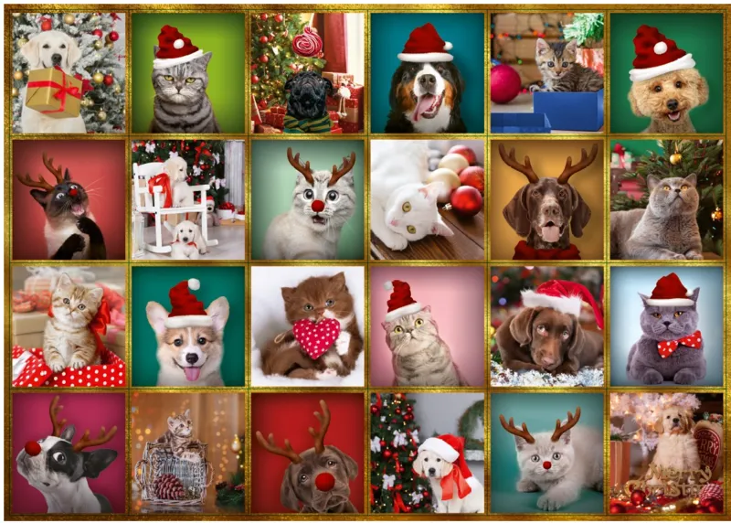 Advent Calendar Animals