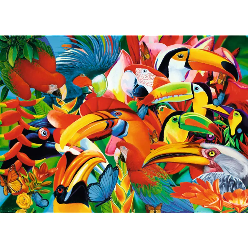 Colorful Birds