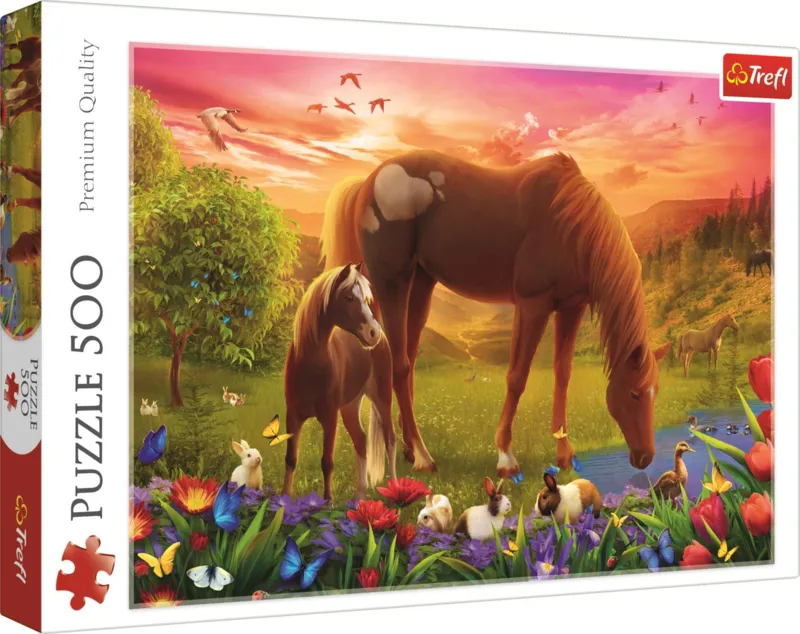 Horses in the Meadow