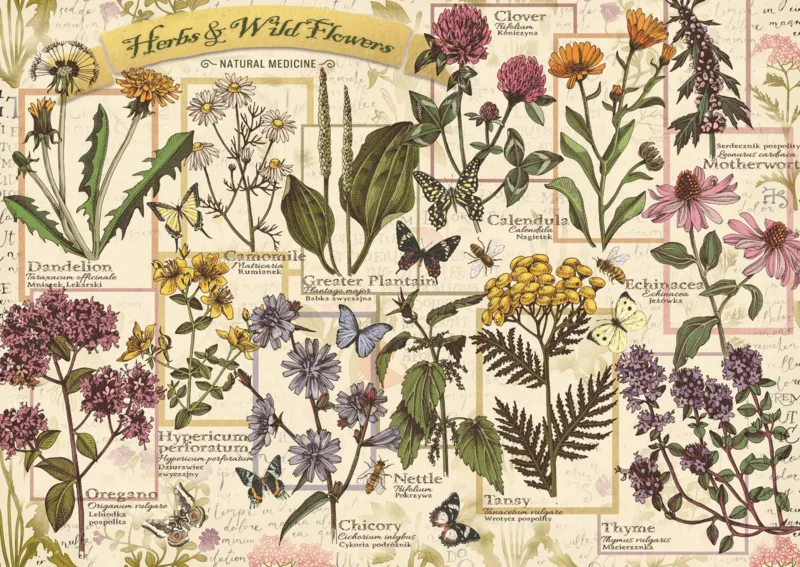 Herbarium: Medicinal Herbs